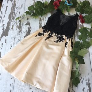 Adas Bridal cream black lace top dress